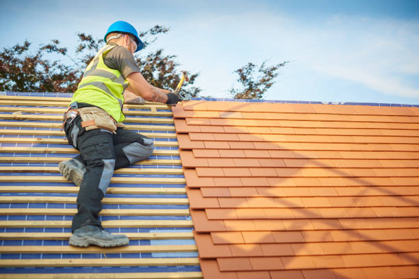 Best Roof Maintenance  in USA